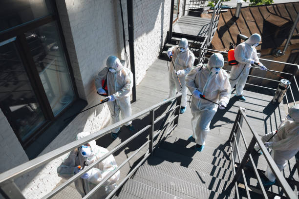 Environmental Consulting for Mold Prevention in Ash Grove, MO