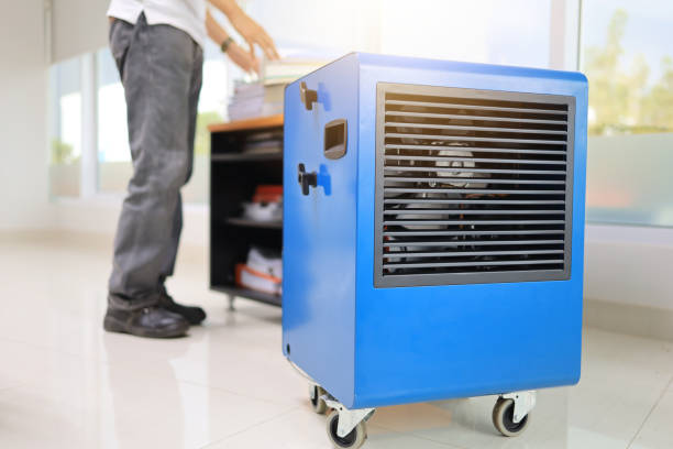 Best Mold-Related Health Consultation  in Ash Grove, MO