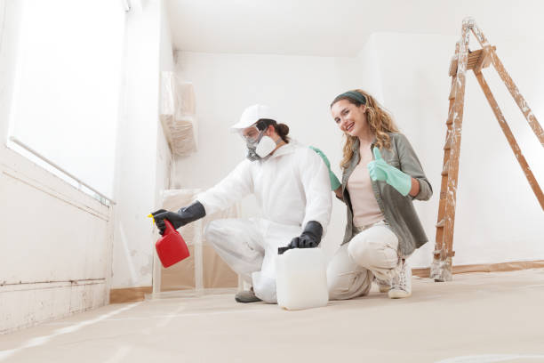 Best Environmental Consulting for Mold Prevention  in Ash Grove, MO